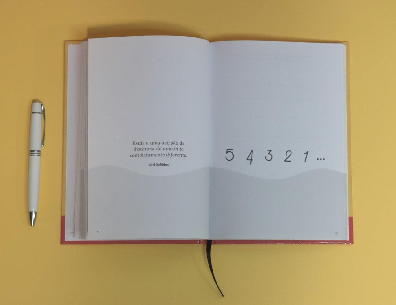 Escova da Mente 1ª Edição (esgotado)